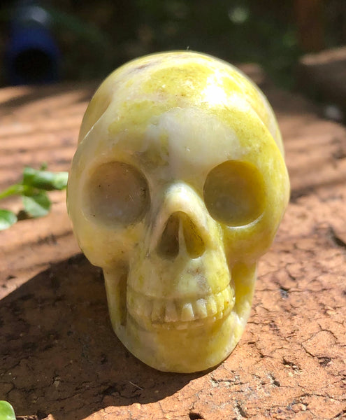 Yellow Serpentine Skull - Willow Tree Soul Gifts -  1