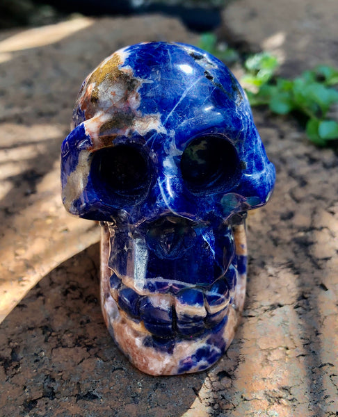 Sodalite Skull - Willow Tree Soul Gifts - 1