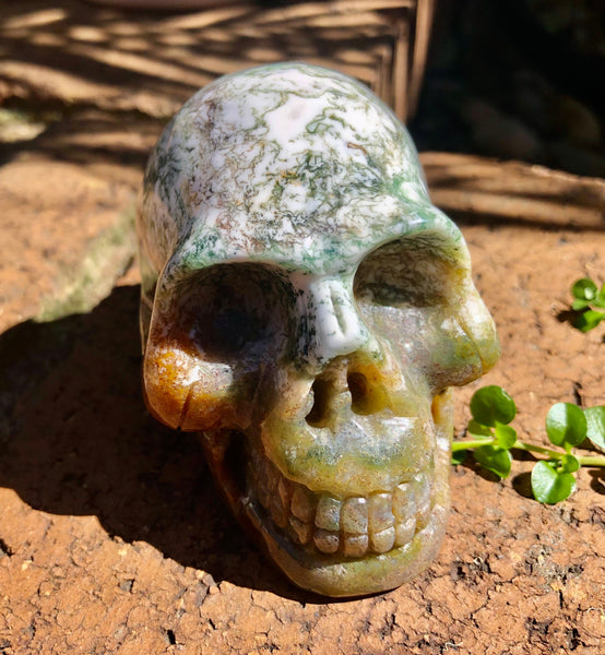 Tree Agate Skull - Willow Tree Soul Gifts - 1