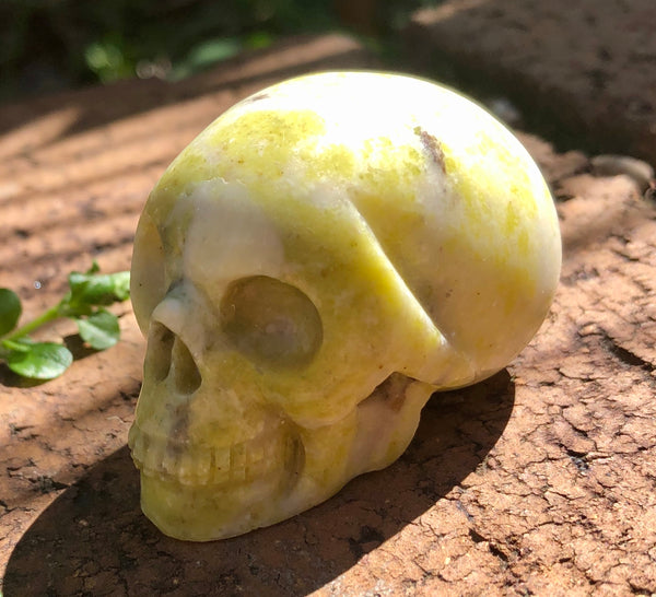 Yellow Serpentine Skull - Willow Tree Soul Gifts -  3