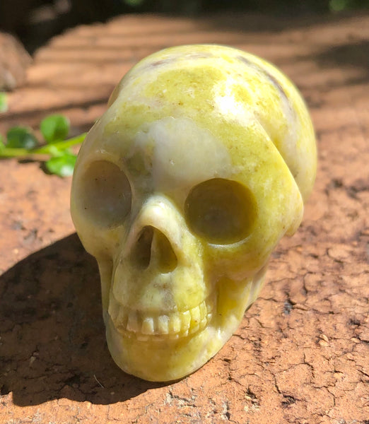 Yellow Serpentine Skull - Willow Tree Soul Gifts -  4