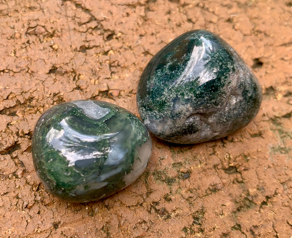 Moss Agate Tumble Stone - Willow Tree Soul Gifts 