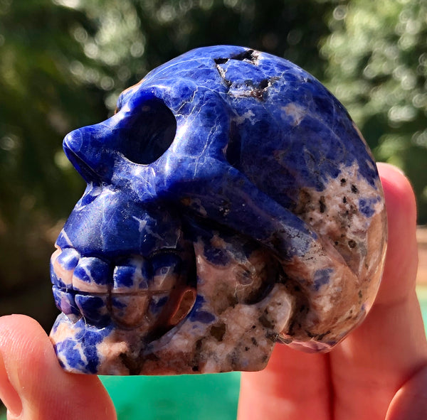Sodalite Skull - Willow Tree Soul Gifts - 6
