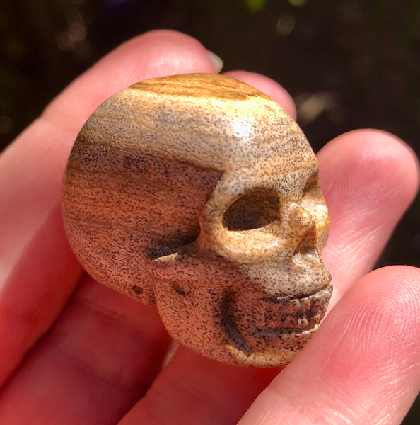 Picture Jasper Skull - Willow Tree Soul Gifts - 8