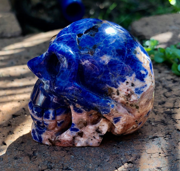 Sodalite Skull - Willow Tree Soul Gifts - 3