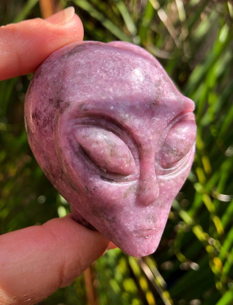 Lepidolite Star Being / Alien Head - Willow Tree Soul Gifts -  7