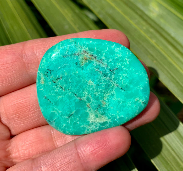 Chrysoprase Palm Stone - Willow Tree Soul Gifts - 3