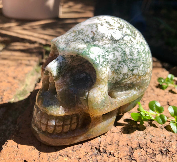Tree Agate Skull - Willow Tree Soul Gifts - 2