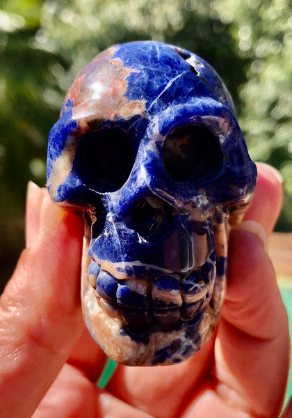 Sodalite Skull - Willow Tree Soul Gifts - 7