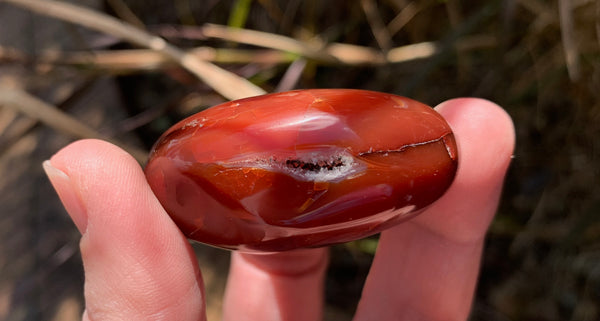 Carnelian Gallet - Willow Tree Soul Gifts - 3