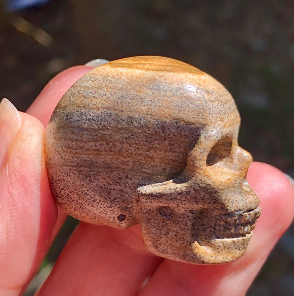Picture Jasper Skull - Willow Tree Soul Gifts - 6