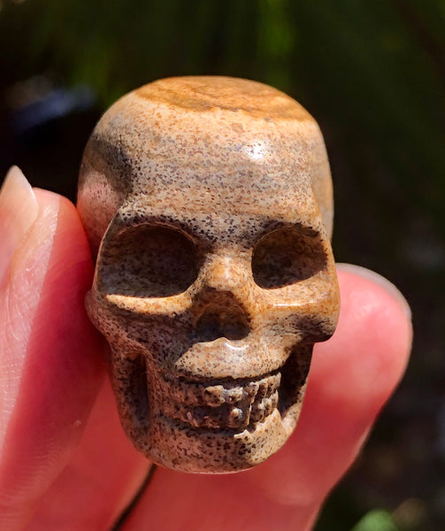 Picture Jasper Skull - Willow Tree Soul Gifts - 4