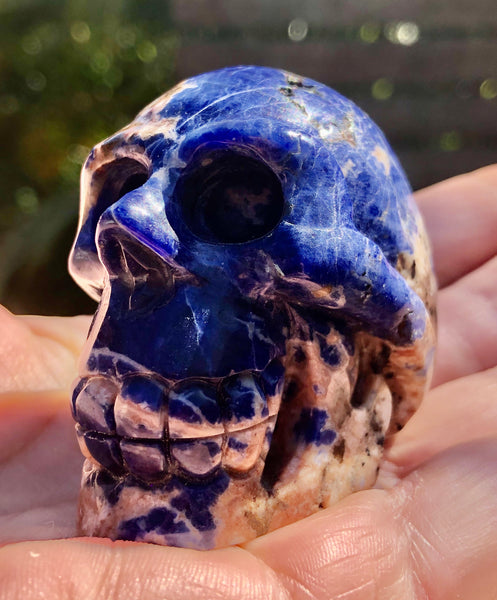 Sodalite Skull - Willow Tree Soul Gifts - 4