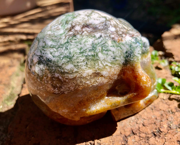 Tree Agate Skull - Willow Tree Soul Gifts - 4