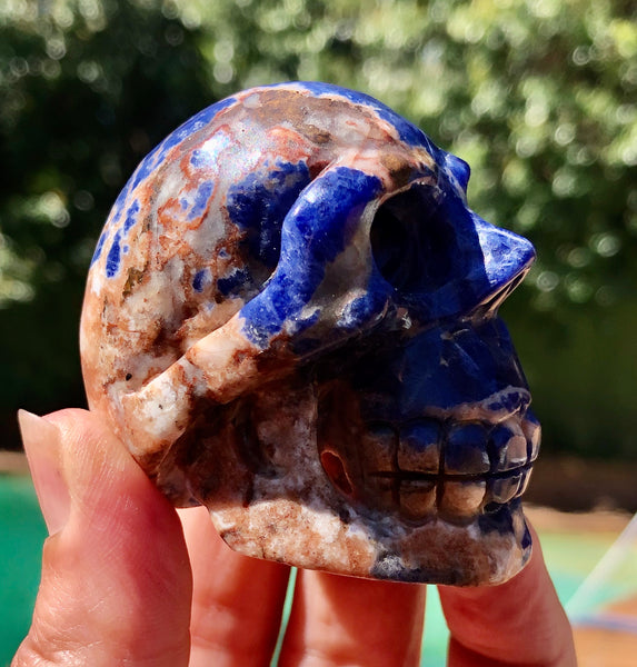 Sodalite Skull - Willow Tree Soul Gifts - 5