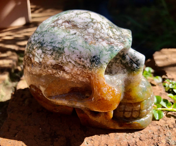 Tree Agate Skull - Willow Tree Soul Gifts - 3