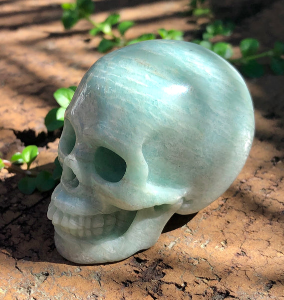 Amazonite Skull - Willow Tree Soul Gifts - 2