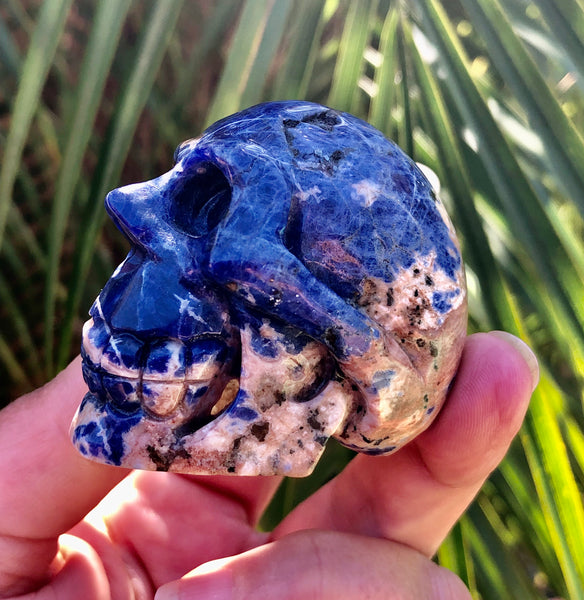 Sodalite Skull - Willow Tree Soul Gifts - 9