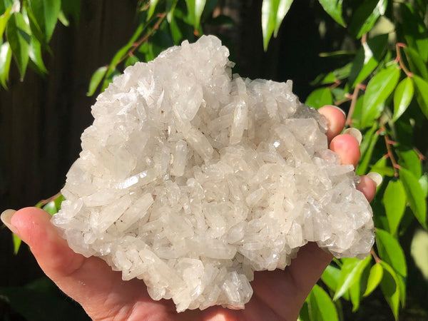 Calcite Cluster - Willow Tree Soul Gifts - 4