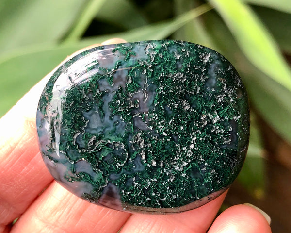 Moss Agate Palm Stone - Willow Tree Soul Gifts - 1 