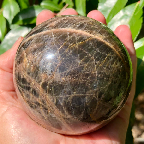 Black Moonstone Sphere - Willow Tree Soul Gifts - 1