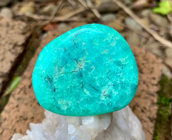 Chrysoprase Palm Stone - Willow Tree Soul Gifts - 2