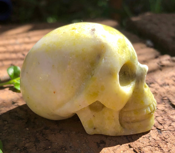 Yellow Serpentine Skull - Willow Tree Soul Gifts -  2