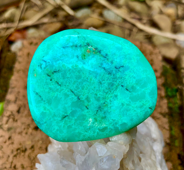 Chrysoprase Palm Stone - Willow Tree Soul Gifts - 1