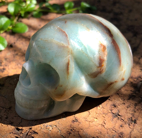 Amazonite Skull - Willow Tree Soul Gifts - 2