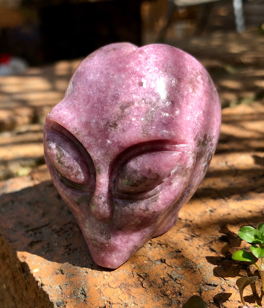 Lepidolite Star Being / Alien Head - Willow Tree Soul Gifts -  3