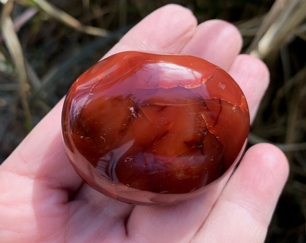 Carnelian Gallet - Willow Tree Soul Gifts - 2