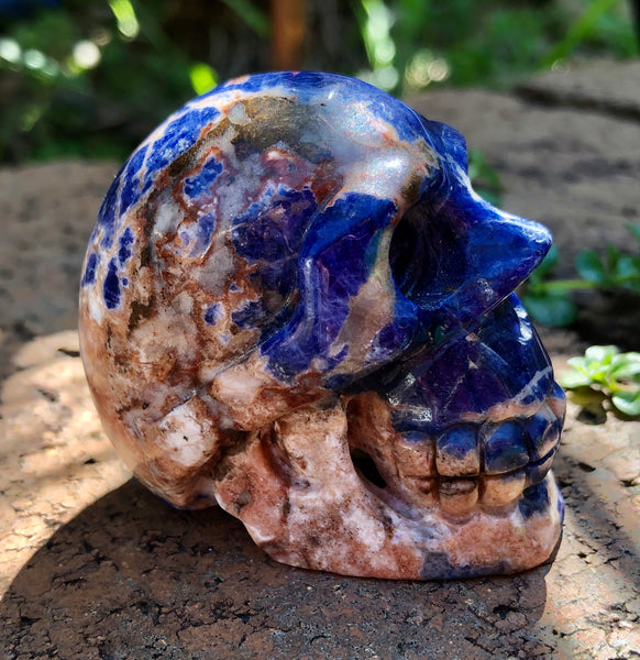 Sodalite Skull - Willow Tree Soul Gifts - 2