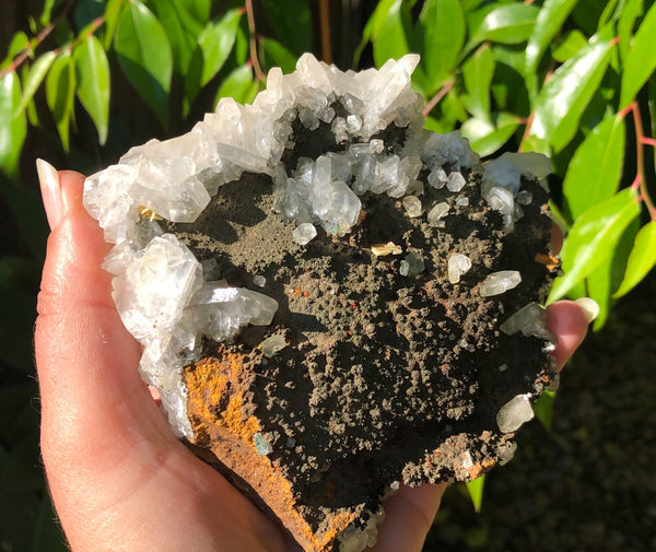 Calcite Cluster - Willow Tree Soul Gifts - 5