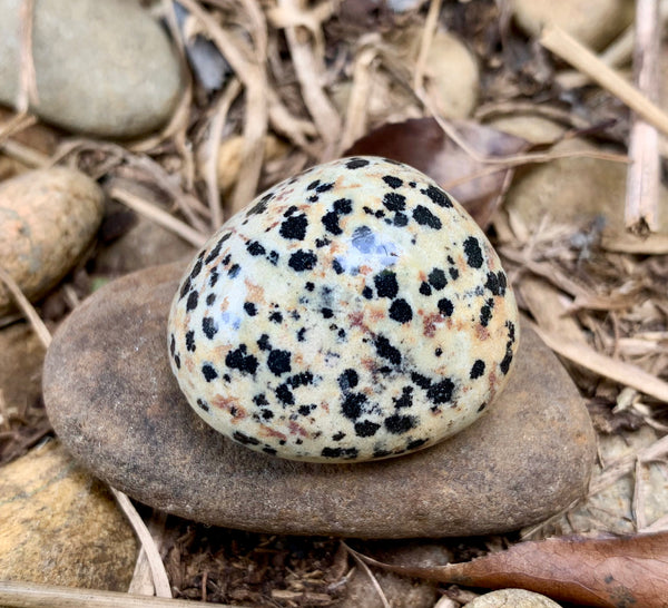 Dalmatian Tumble Stone - Willow Tree Soul Gifts