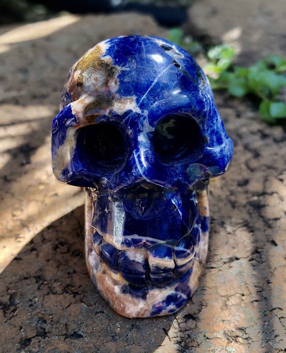 Sodalite Skull - Willow Tree Soul Gifts